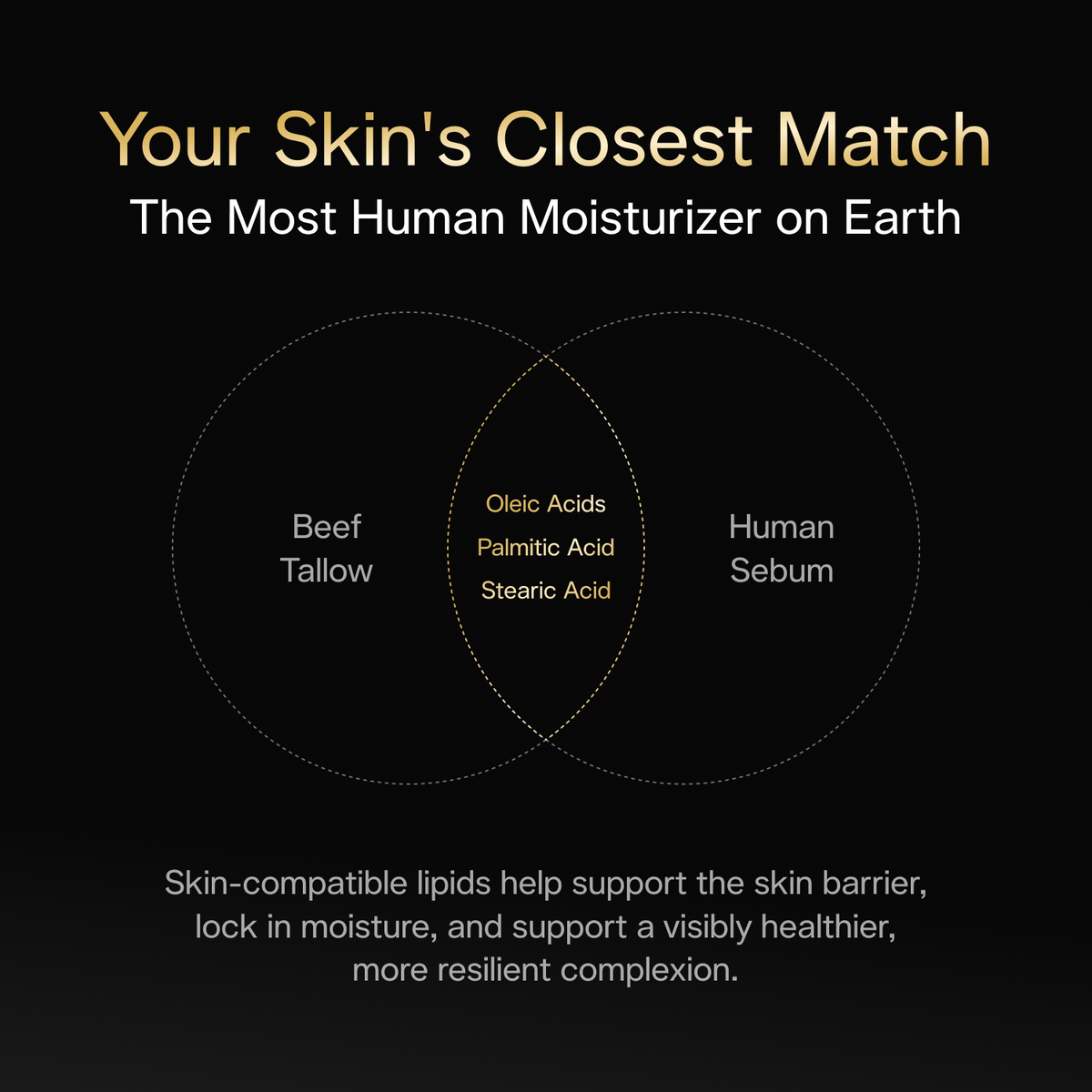 Tallow Moisturizer Weekday Morning Grooming Basics